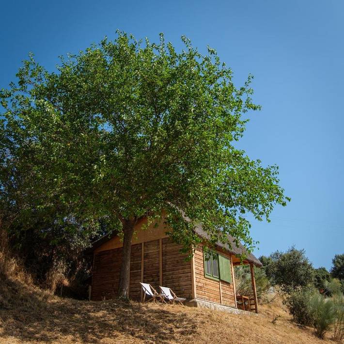 Casa rural para 3 personas, con vistas y jardín, Se admiten mascotas en Provincia de Toledo - 2
