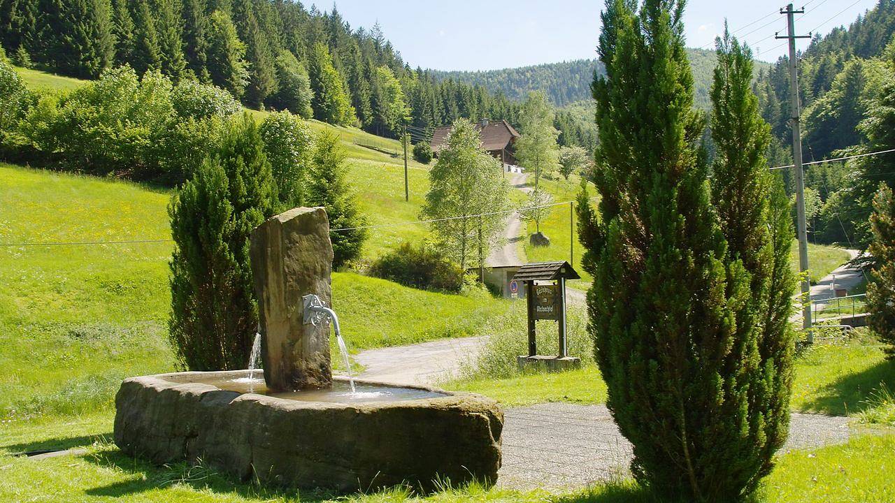 Ganze Ferienwohnung, Ferienwohnung für 4 Personen (68 m²) in Bad Rippoldsau-Schapbach in Bad Rippoldsau-Schapbach, Mittlerer Schwarzwald
