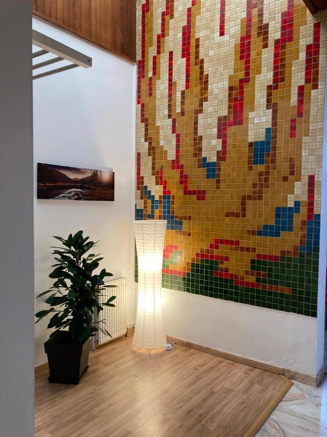 Appartement entier, One-Bedroom Apartment in Pamiers, Ariège
