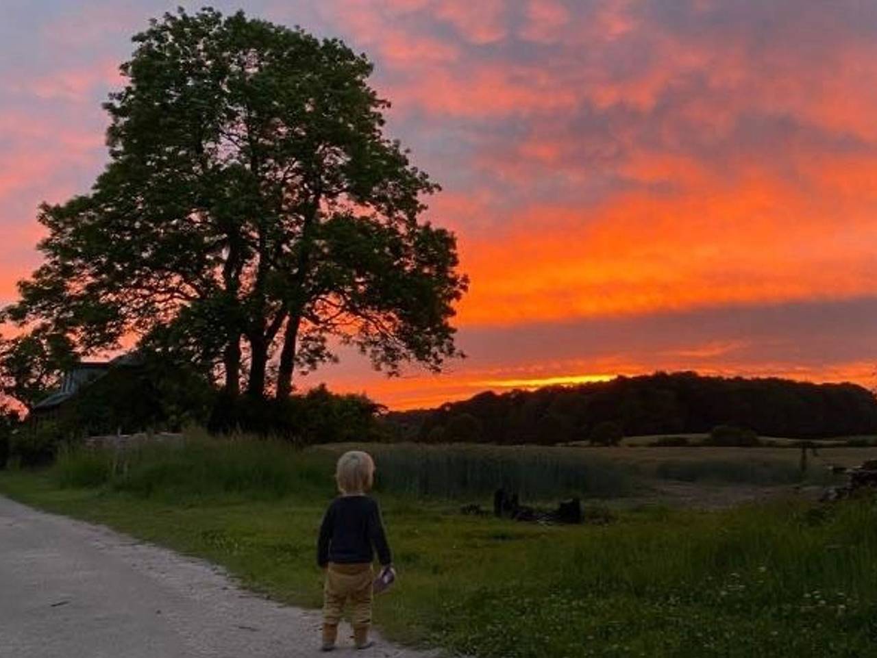 Ferienhof Baustrup - Alter Pferdestall in Mohrkirch, Schleswig-Flensburg