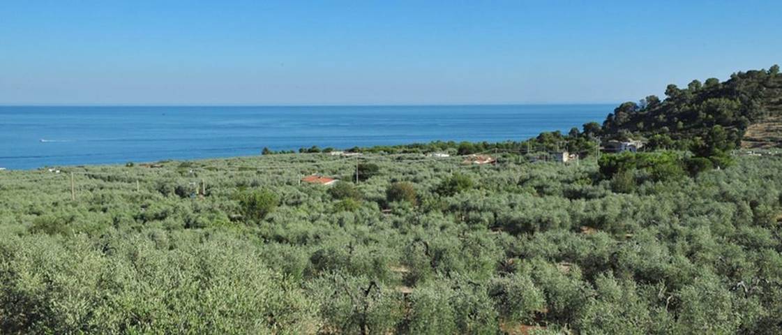 Camping für 5 Personen, mit Haustier am Gargano - 3