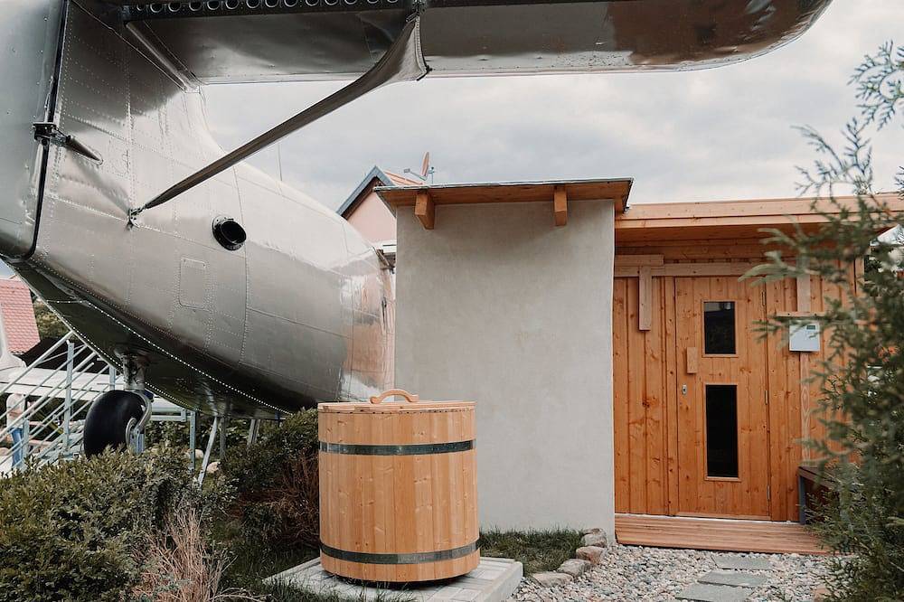 Ganze Wohnung, Flugzeug-Ferienwohnung mit Flugsimulator und Sauna in Kirnitzschtal, Sebnitz