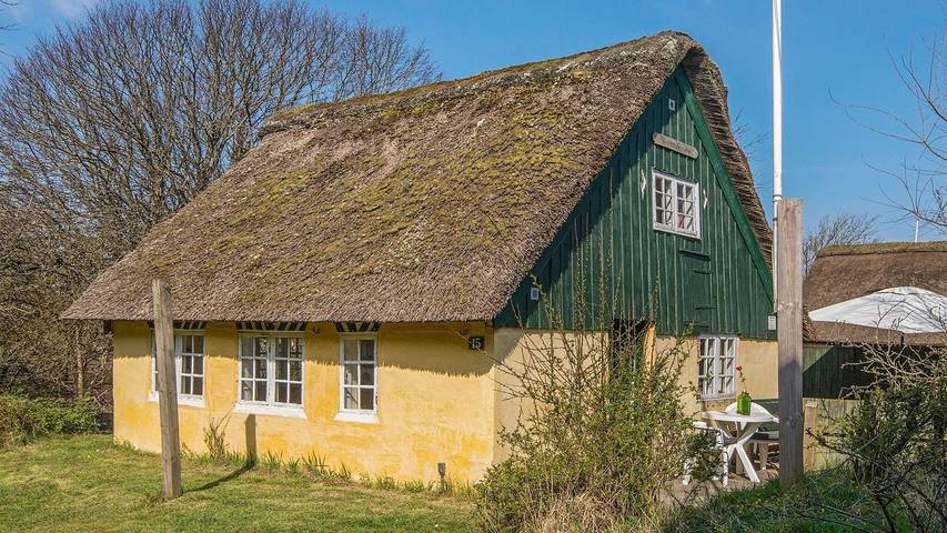 Ferieudlejning for 4 personer, med terrasse i Sønderho