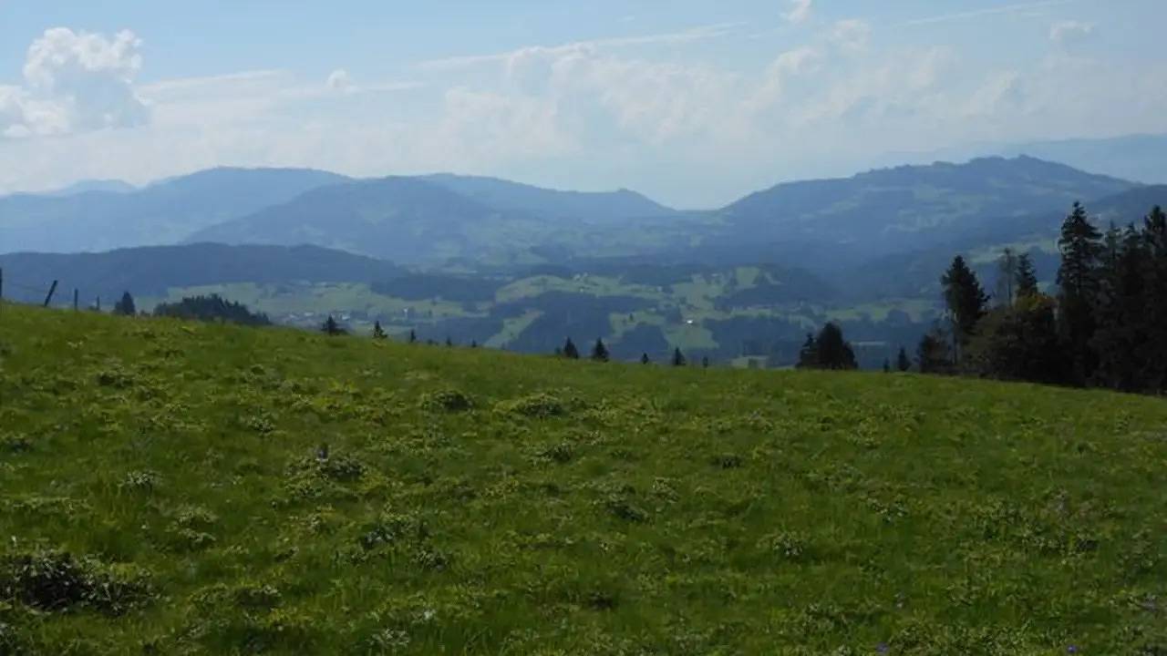 Ganze Ferienwohnung, Ferienwohnung für 3 Personen (38 m²) in Oberstaufen in Steibis, Oberstaufen