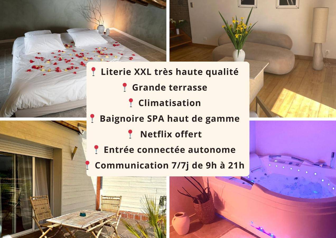Appartement entier, Superbe appartement loveroom avec balnéo Dolce notte in Carbonne, Haute-Garonne