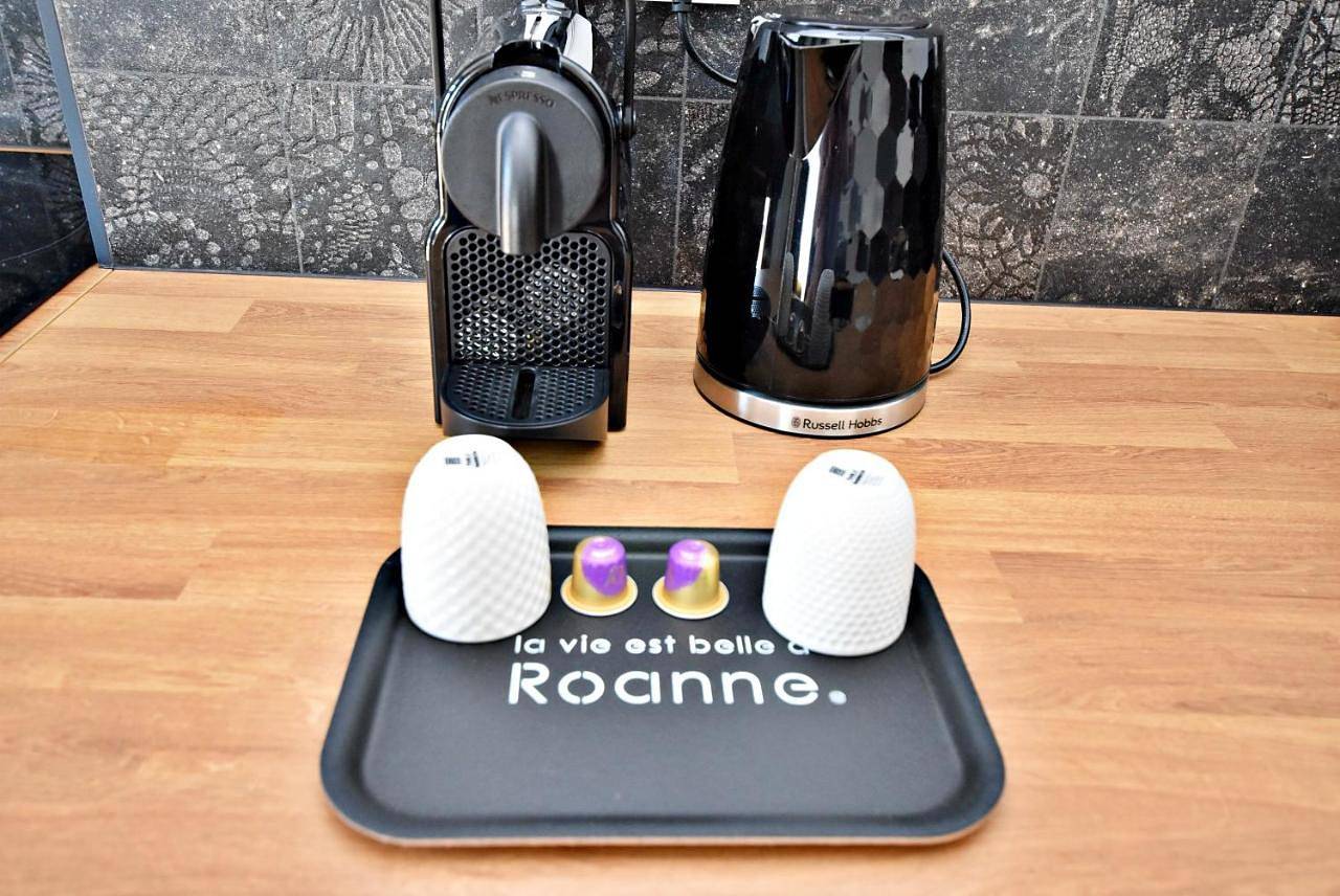 Appartement entier, One-Bedroom Apartment in Roanne, Région de Roanne