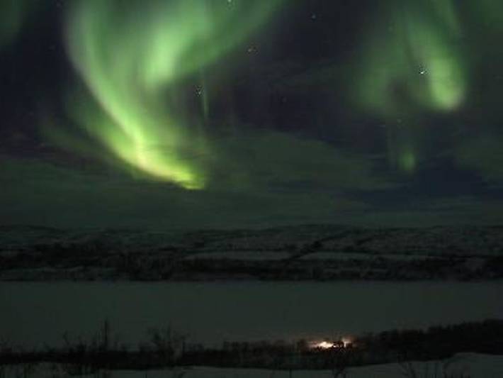 Karetörmä in Lappland