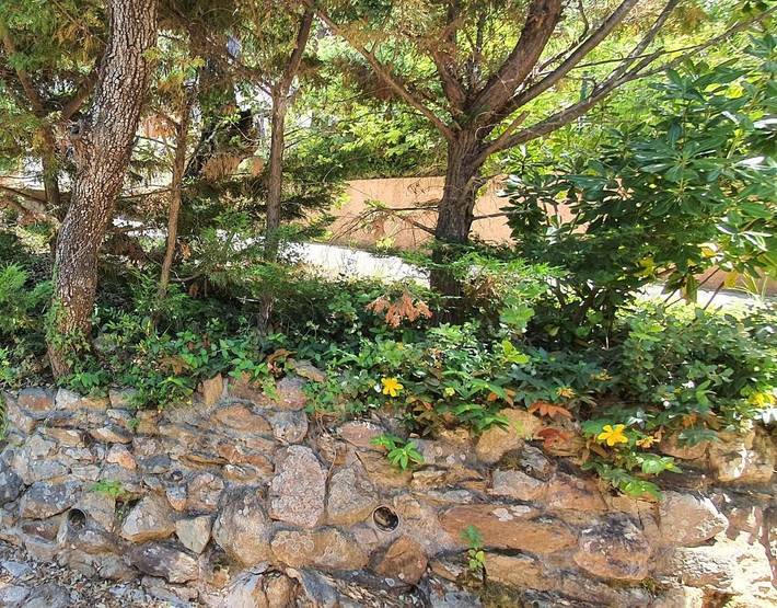 Camping pour 6 personnes, avec Terrasse ainsi que Jardin et Piscine à Gassin - 4