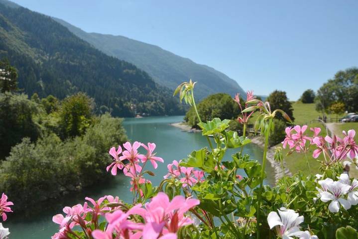 Ferienwohnung für 6 Personen, mit Garten und Ausblick, mit Haustier in Molveno - 2