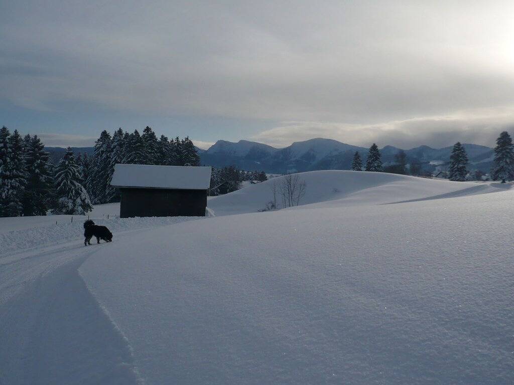 Am Hehlehof||Oberreute in Oberreute, Bayerisch Schwaben