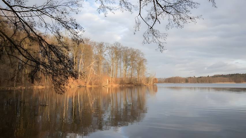 Ferienhaus für 4 Personen in der Feldberger Seenlandschaft - 4