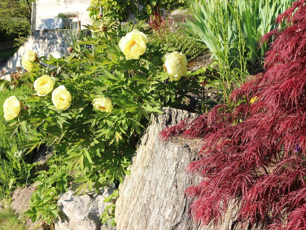 Blonay Logis de Vacances 2 in Blonay, Lac Léman