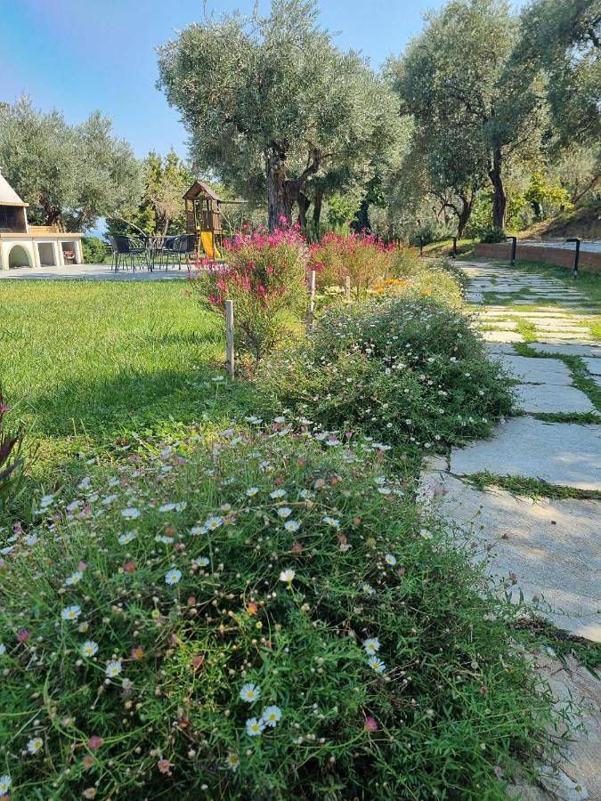 Moses Villa in Agii Saranta, Zagora