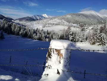 Bauernhof für 4 Personen in Krakau (Steiermark), Tauern, Bild 2