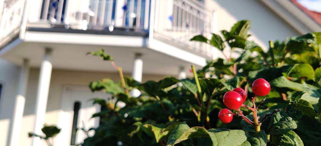 Ferienhaus für 3 Personen, mit Balkon, kinderfreundlich in Gerolzhofen - 2