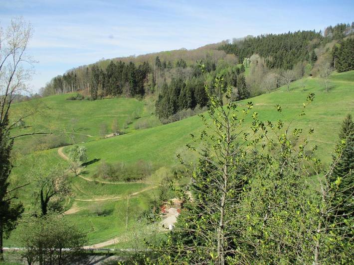Gîte pour 2 personnes, avec jardin et vue à Steinen - 2