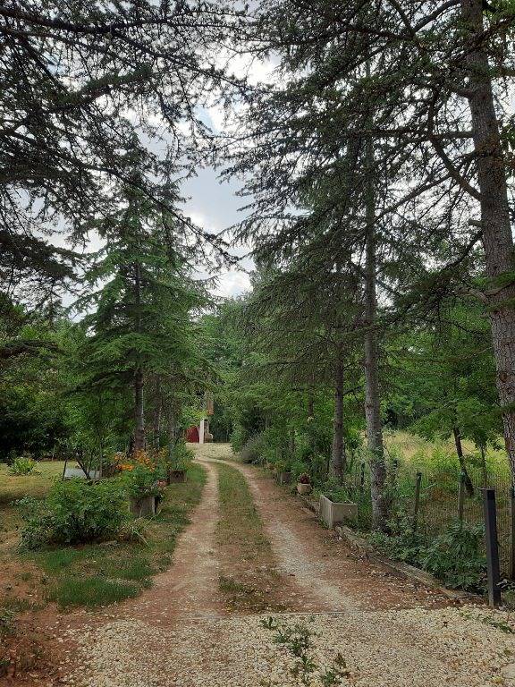 Gîte pour 4 personnes, avec terrasse dans le Gers - 3