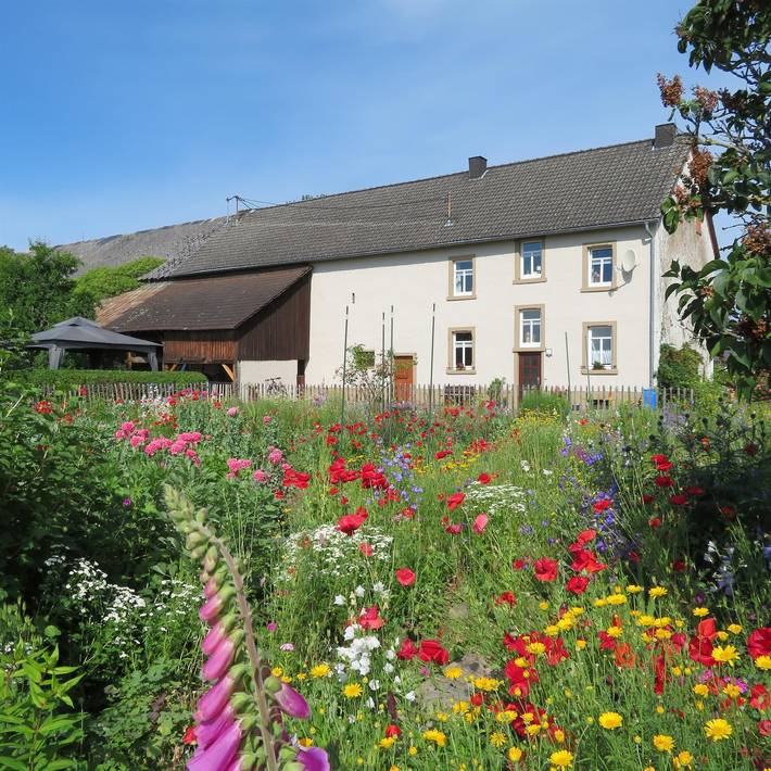 Ferienhaus für 8 Personen, mit Garten in der Eifel - 2