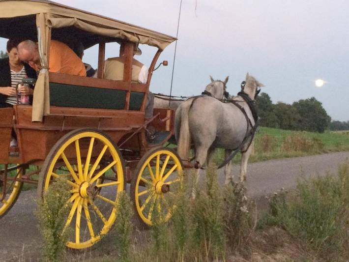Ferienwohnung für 4 Personen, mit Ausblick und Garten sowie Seeblick, mit Haustier in Sächsisches Elbland