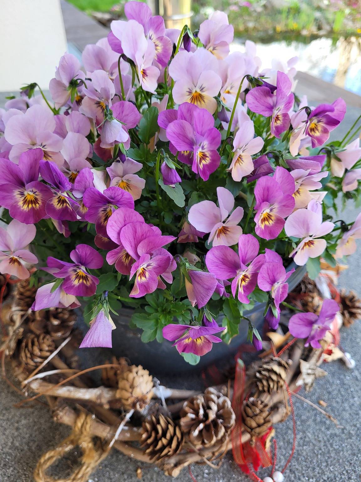 Ganze Ferienwohnung, Ferienwohnung Fewo-Stützle - Dg Ferienwohnung W, 52qm, 1 Schlafzimmer, max. 2 Personen in Radolfzell, Radolfzell am Bodensee