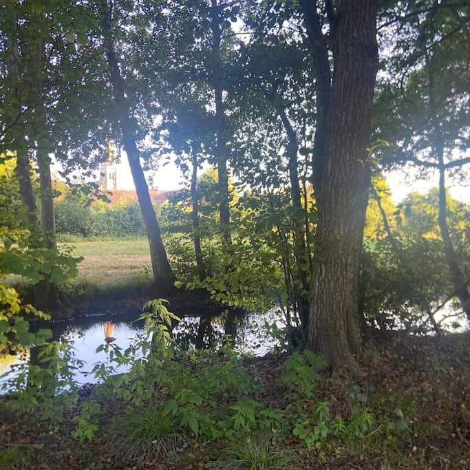 Location de vacances pour 3 personnes, avec jardin ainsi que terrasse et vue à Journet - 4