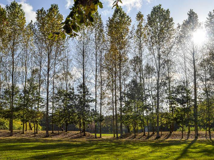 Deer Cottage 1 Uk39330 in Biddenden, Ashford region