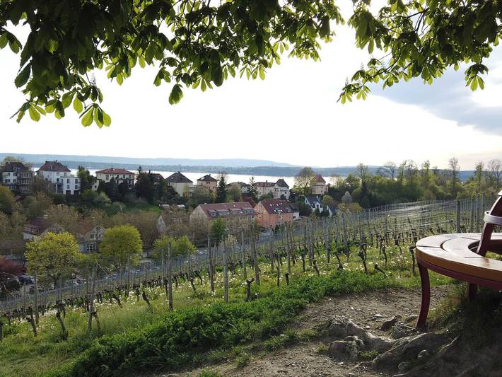 Ganze Ferienwohnung, Ferienwohnung Auf dem Hirtle - Ferienwohnung B in Meersburg, Region Bodensee-Oberschwaben