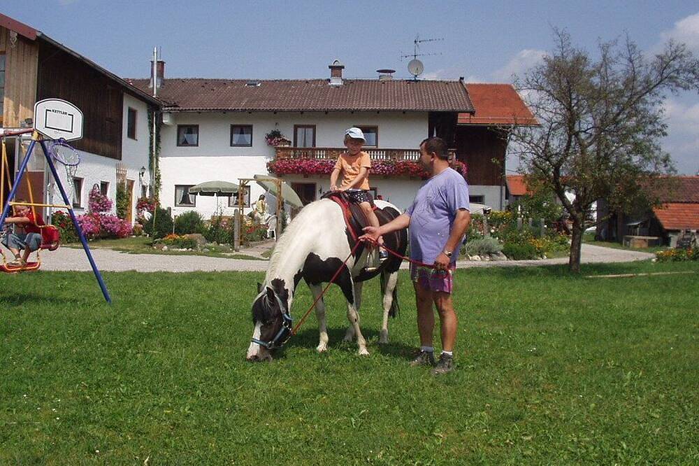 Ganze Wohnung, Oma's Welt - ****Fewo, Og, 55 qm, 2 - 5 Pers, komb. Wohn-/Schlafzi. + sep. Schlafzi. in Grabenstätt, Chiemsee
