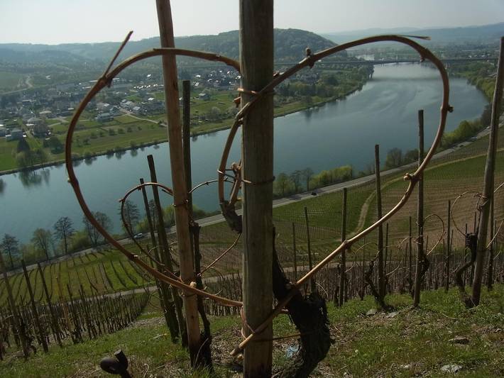 Ferienwohnung für 2 Personen, mit Balkon in Schweich - 3