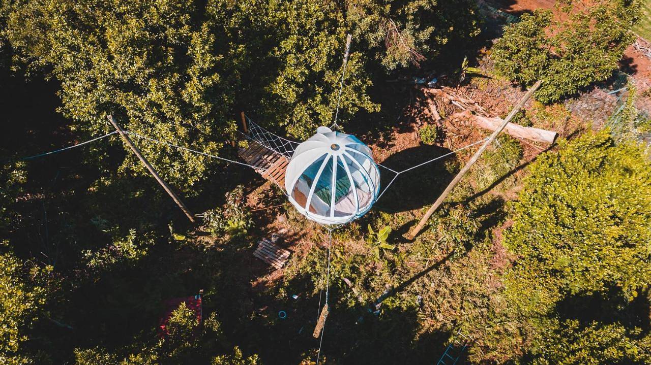 Quinta do Abacate - Glamping Park in São Mateus da Calheta, Terceira