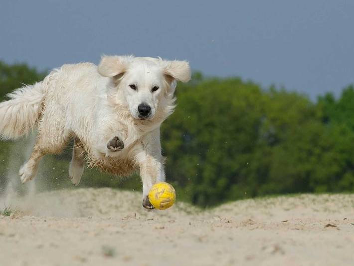 Ferienwohnung für 5 Personen, mit Balkon, kinderfreundlich in Hasselberg - 4