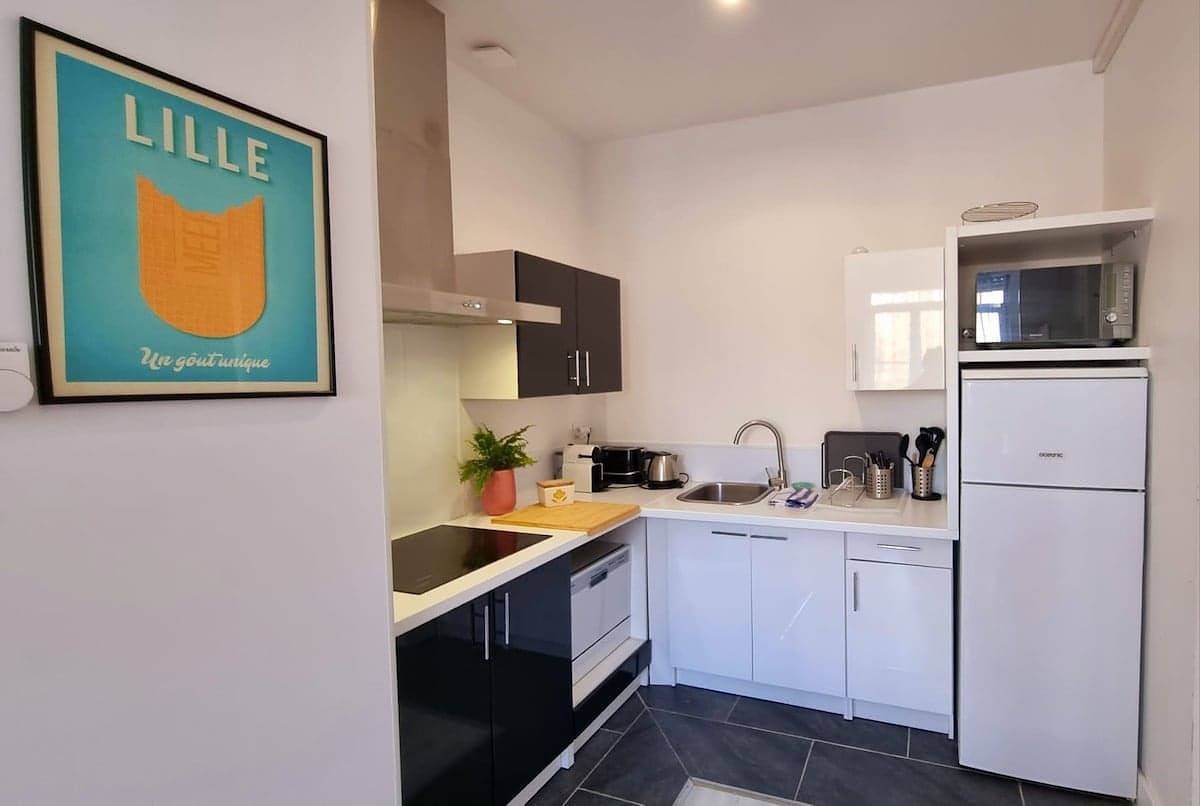 Ganzes Studio, Lilly-Tout a pied, proche gares, Grd Palais&Centre in Lille, Lille und Umgebung