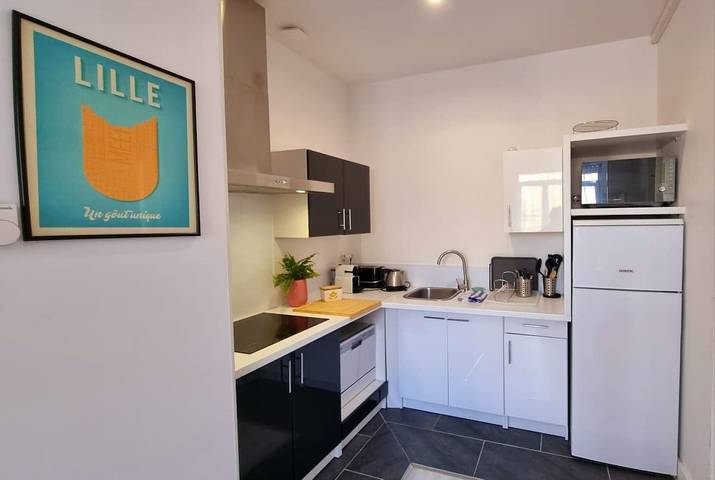 Entire holiday apartment, Lilly-Tout a pied, proche gares, Grd Palais&Centre in Lille, Lille region
