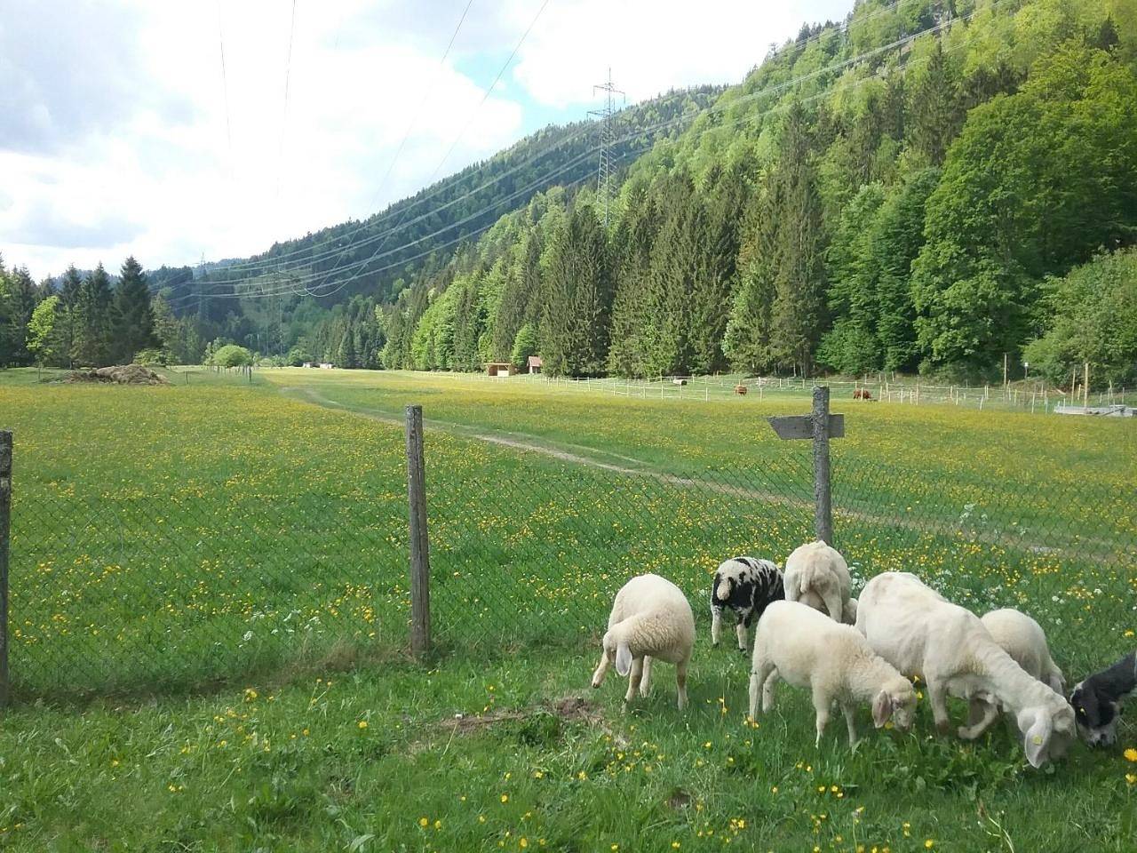 Appartement entier, Apartment in Jachenau, Walchensee