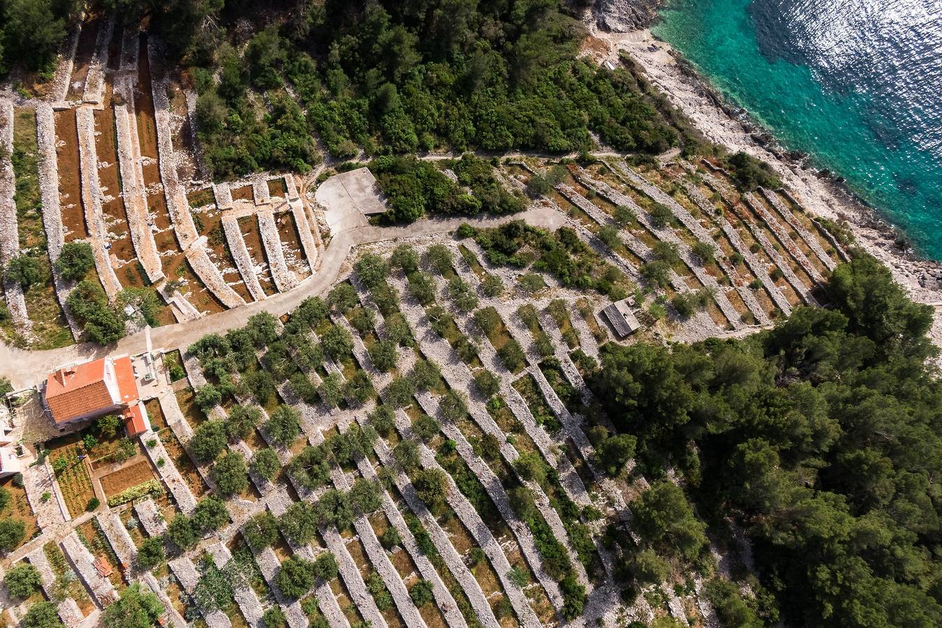 Fyrrumshus med terrass och utsikt över havet Vik Zanavje, Korcula K-19224 in Vela Luka, Korčula