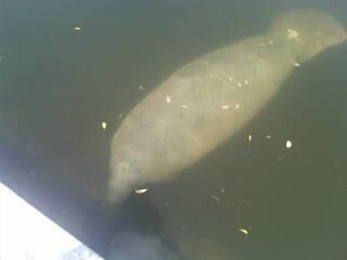 Vacation rental for 7 people, with balcony and hot tub in Big Pine Key