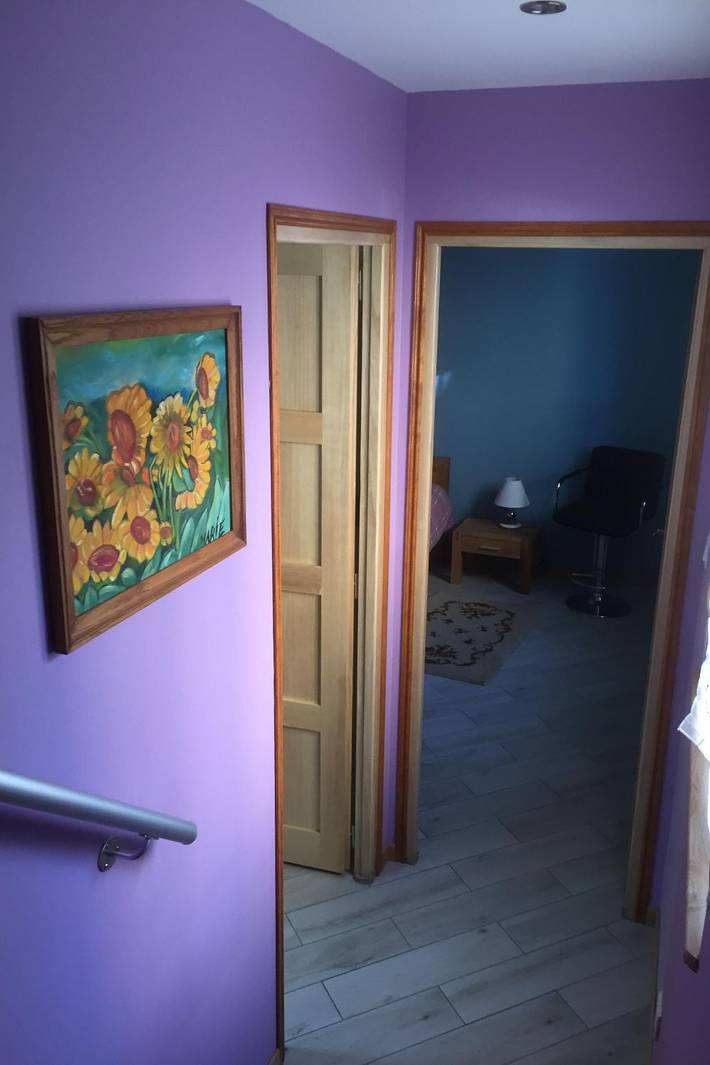 Location de vacances pour 6 personnes, animaux acceptés à Wintzenheim - 4