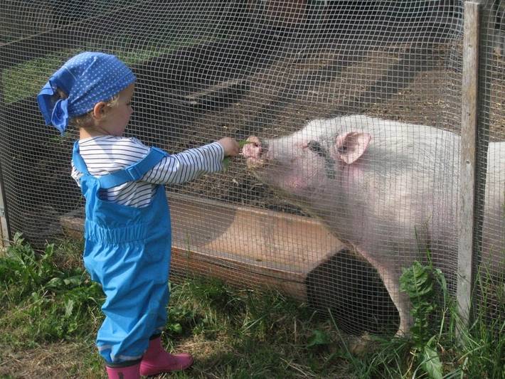 Ferienhaus für 2 Personen, mit Garten, kinderfreundlich in Deutschland - 3