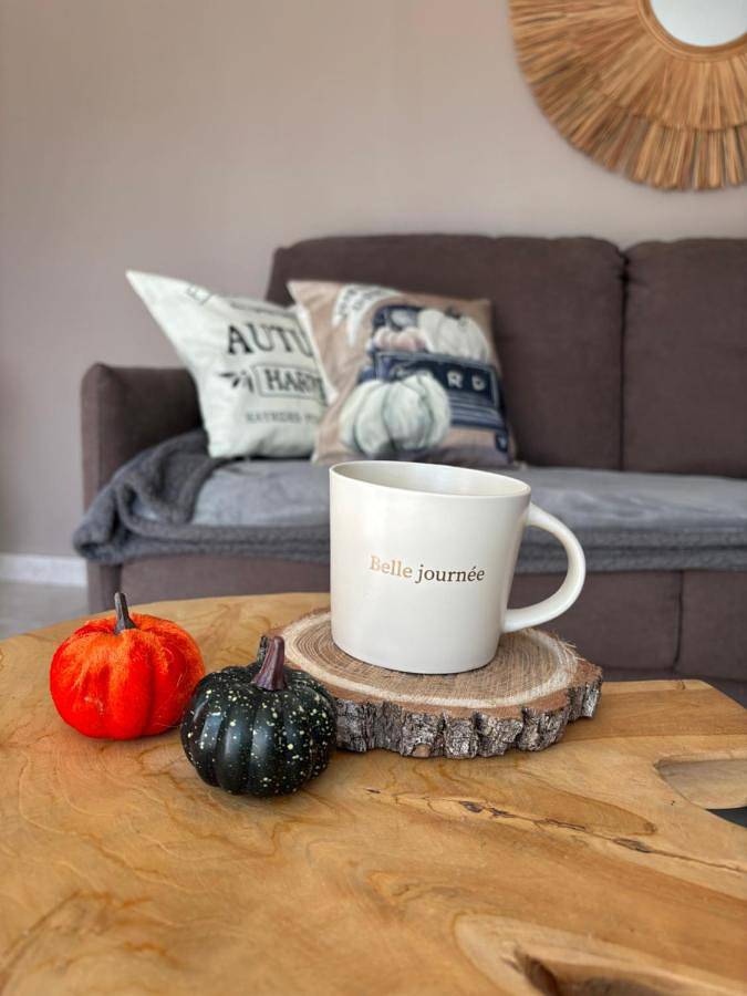 Petite maison cosy Chez Georges in Auxonne, Région de Dijon