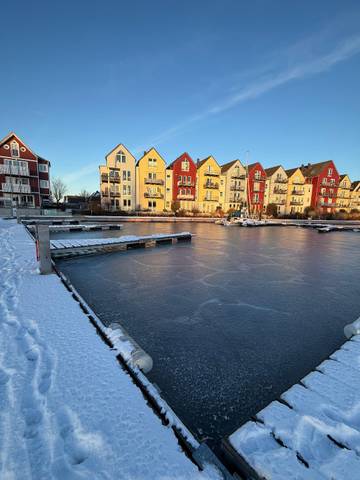Studio für 4 Personen, mit Terrasse, mit Haustier in Greifswald