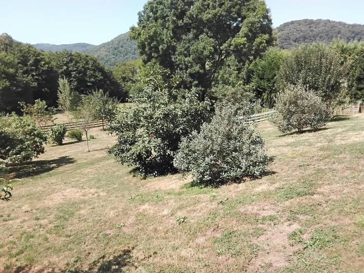 Le Rucan in Montastruc-de-Salies, Haute-Garonne