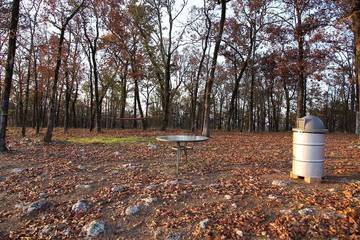 Camping for 6 Guests in Ouachita National Forest, Arkansas, Picture 3