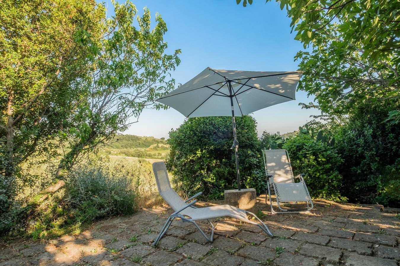 Agriturismo 'Stella Sud Podere Carbone' con terrazza e Wi-Fi in Scansano, Provincia di Grosseto
