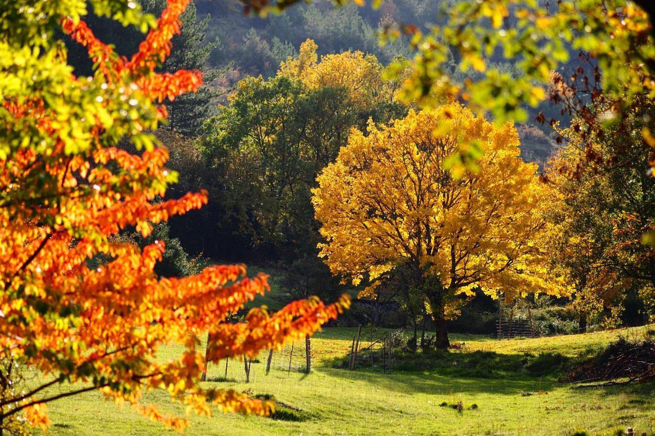La Mouline in Pourchères, Parc naturel régional des Monts d'Ardèche