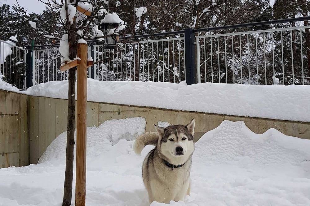 Ganze Wohnung, Apart Sunnseita - Ferienwohung mit wunderbarem Burg Laudeckblick in Glockturmkamm, Prutz