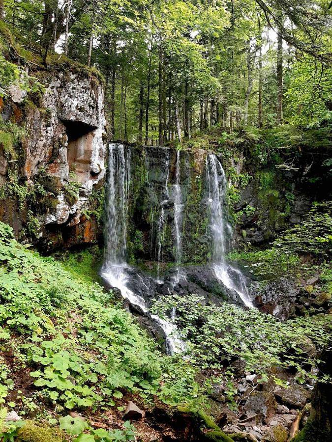 Location de vacances pour 10 personnes, avec vue à Le Falgoux - 2