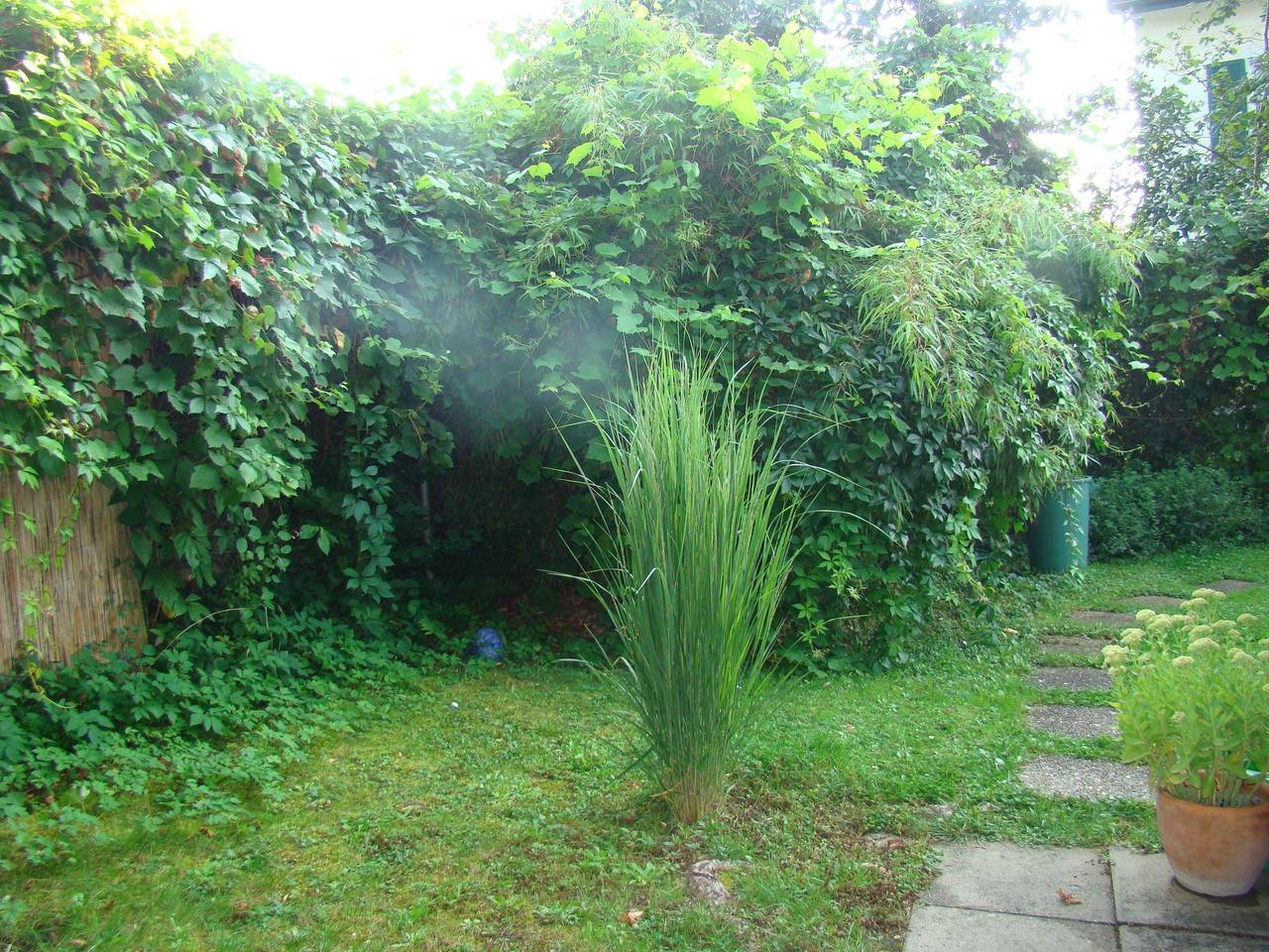 Appartement entier, Wohlfühloase in Steckborn, Untersee