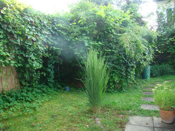 Ferienwohnung für 6 Personen, mit Garten am Bodensee (Schweiz) - 4