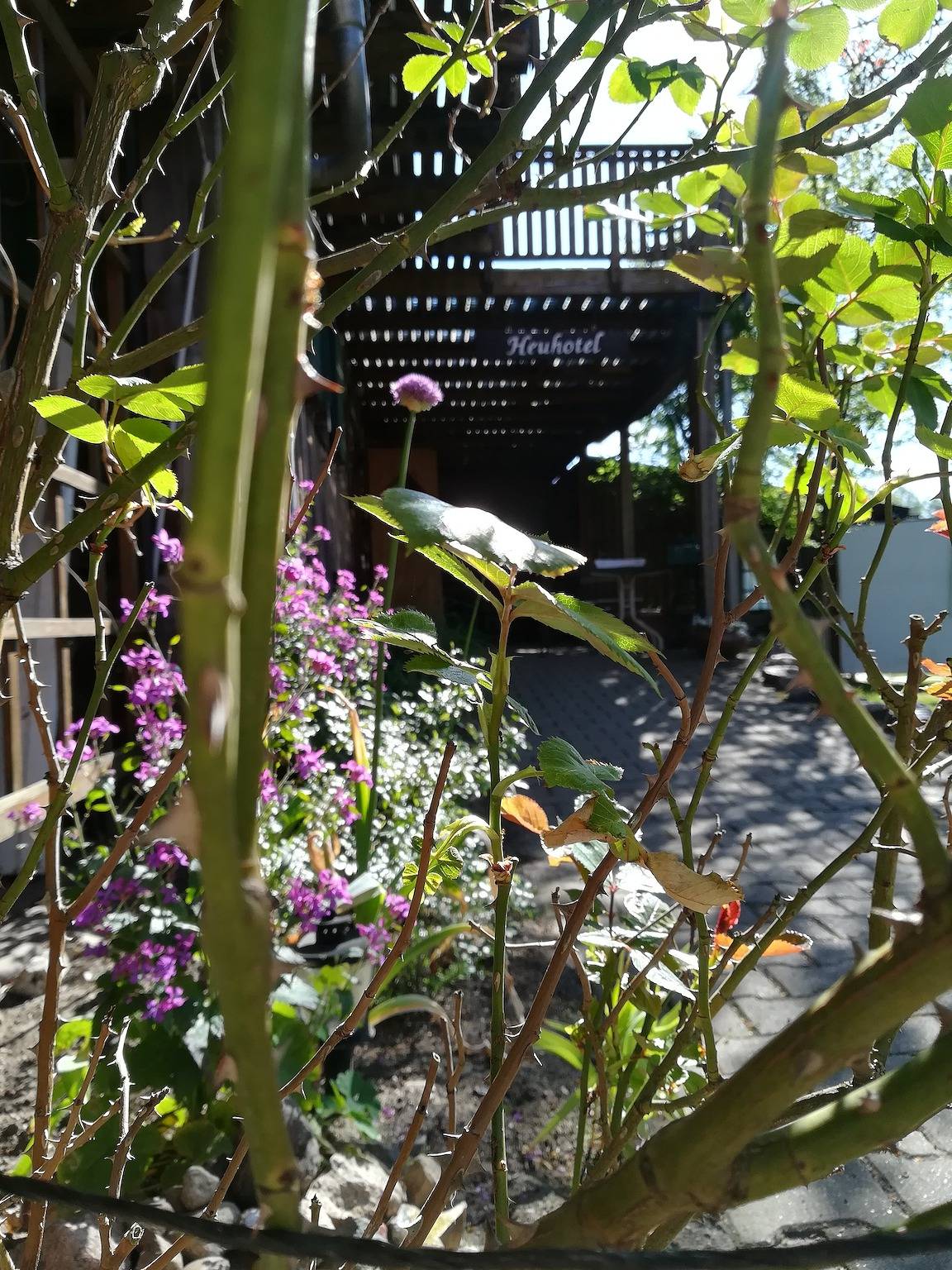 Ferienhof Trapp - Haferkammer in Dahlenburg, Nordheide