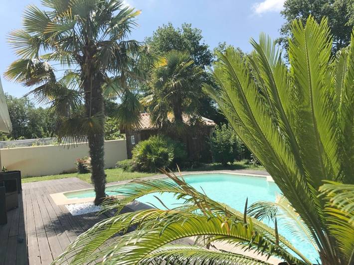 Location de vacances pour 2 personnes, avec piscine et jardin, animaux acceptés à Le Teich - 3